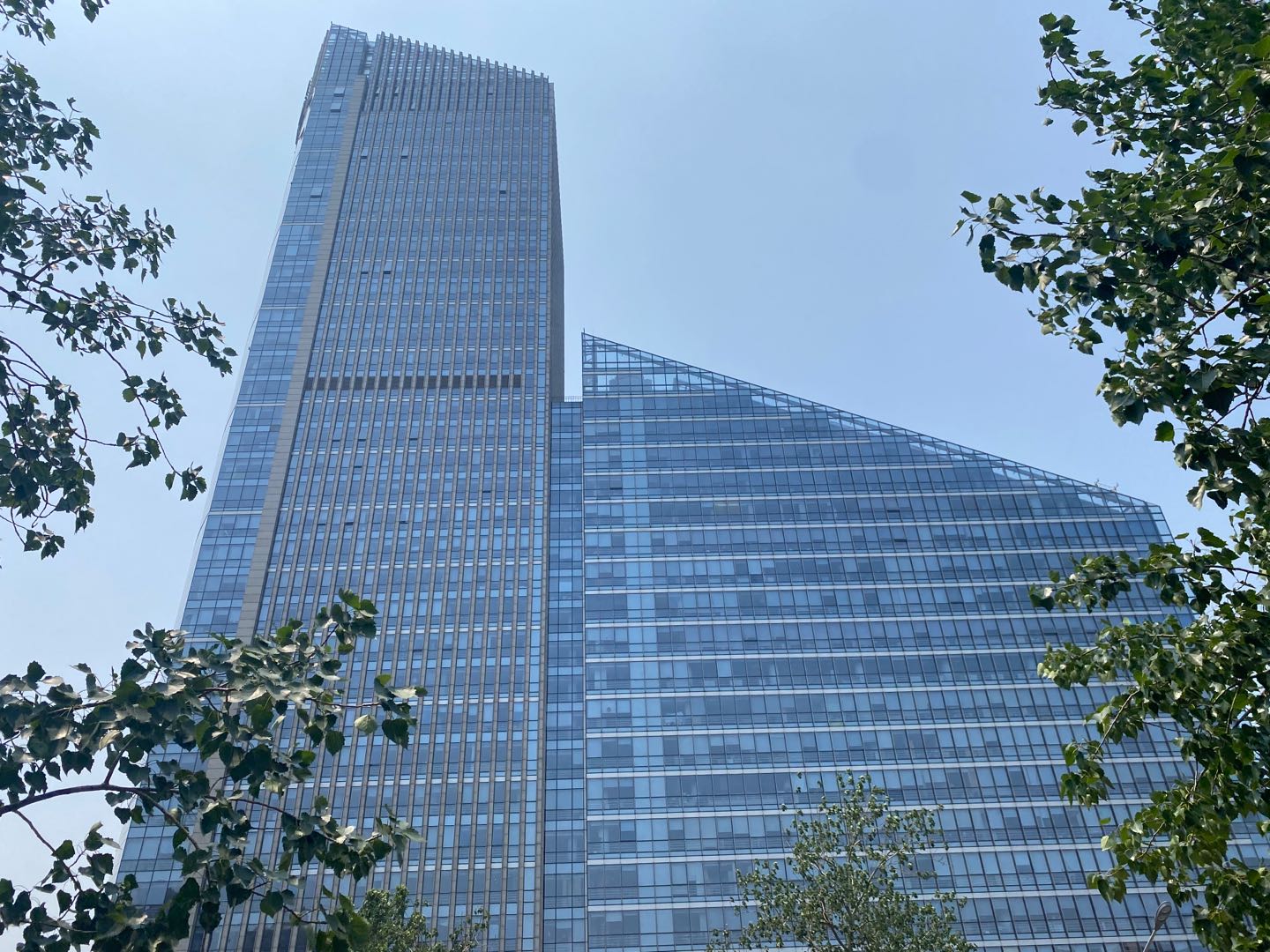<b>中青大厦</b>